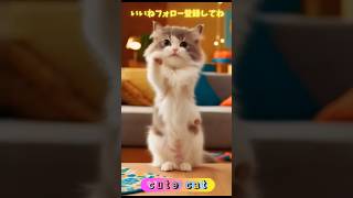 #dancingcat #dance #cat #ダンス #猫