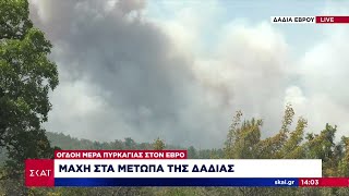 Επιδεινώνεται η κατάσταση με την πυρκαγιά στον Έβρο – Κραυγή αγωνίας από το συντονιστικό | Ειδήσεις