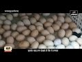 600 चूजे 21 दिन में इस कमाल की मशीन से how to use automatic egg incubator effectively