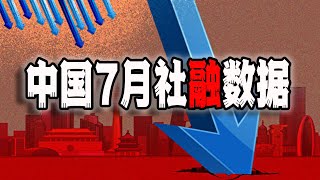 中国七月社融数据公布，所揭示的中国经济真实情况，恐怕距离地下室不远了...(2022-08-14第1162期)