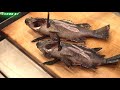 メバルの煮付けの作り方（煮魚の臭みを取る下処理方法）