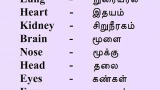 HUMAN BODY PARTS IN TAMIL