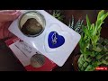 PEARL IN AN OYSTER | UNBOXING PEARL GIFTSET