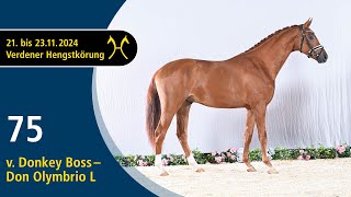 No. 75 Stallion by Donkey Boss - Don Olymbrio L | Verden Stallion Licensing 2024 - Nov. 22/23