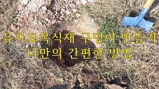 유자묘목식재 구덩이 만들기 나만의 간편한 방법