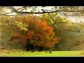 Alexander Khaskin : Falling leaves