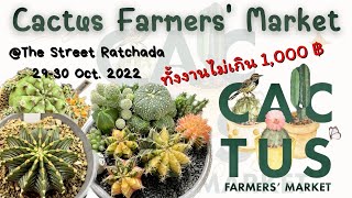 | Garden | พา Tour Cactus Farmers’ Market Fair แจกฟรีด้วย @The Street Ratchada 29-30 Oct. 2022