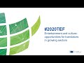 #2020TEF - Entertainment and culture: opportunities for translators in growing sectors