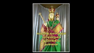 புதுமைகள் நிறைந்த வாடிமாநகர் ஆரோக்கிய அன்னை ஆலய தரிசனம் ❤️ வாடிப்பட்டி, மதுரை❤️