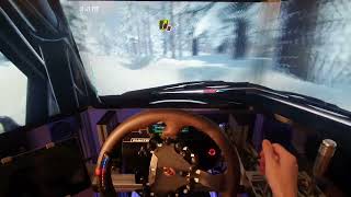 Immersive rallying, somewhere in Sweden again (DiRT Rally 2.0)