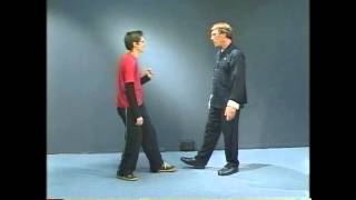 Yang Style Tai Chi Long Form Master Course - Lesson 8