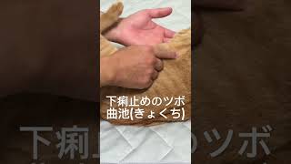 #犬猫専門整体  ペットが下痢をしたらココのツボを押してみて👍自然治癒力UP💪