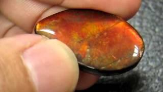 Gemstones Natural Ammolite