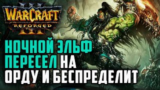 Ночной эльф пересел на Орду и беспределит: Sini (Orc) vs Pcg_123 (Ud) Warcraft 3 Reforged