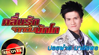 คลื่นรักจากต้นบักโก - ปอยฝ้าย มาลัยพร  [OFFICIAL Audio]