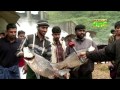 fishing in banasura sagar dam when shutters opened