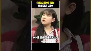 SNL 5│국립모텔에 있는 토끼같은 새ㄲ