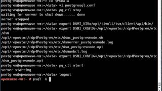 rdp4PostgreSQL-Backup.avi