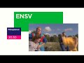 ensv p 21. oktoobril etv s