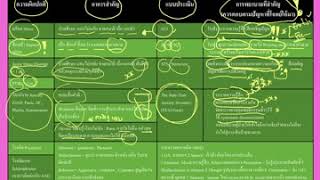 Overall  ทบทวนความรู้สอบสภาการพยาบาลวิชาจิตเวช Part วิตกกังวล