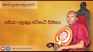 ගතියට අනුකූල පටිසංධි චිත්තය