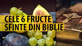 Fructele Din Biblie | Iata Cele 6 Fructe Sfinte *Pe Acestea Trebuie Sa Le Mananci*