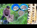 Harvesting fish in rice fields. Building a peaceful life / Living with nature. Episode 66