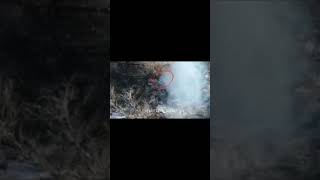 Выкуривание солдат ВСУ с позиций, с помощью простой дымовой шашки