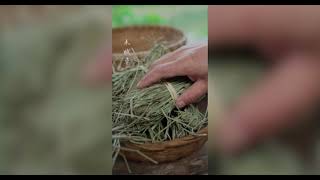 The oldest books in China are bamboo slips.