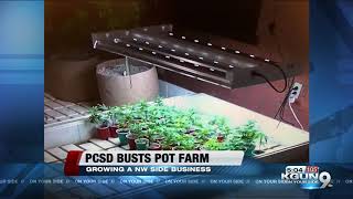 Deputies bust pot farm west of town