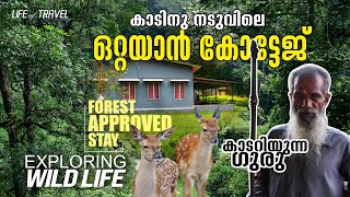 കാടിനുനടുവിൽ ഒറ്റക്ക് താമസിക്കാം | alone in  the forest.