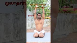 ஊர்த்வ ஹஸ்த வஜ்ராசனம் | Chakra yoga Asanas Tamil