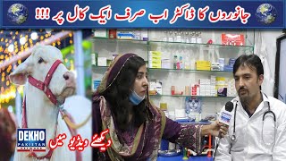 Janwaron K Doctor Ab Sirf Ek Call Per Dr Younus Khan | Animals Care Hospital | Dekho Pakistan