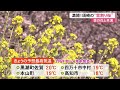 「ピンク色がかわいくてやさしい」　山里で雪割り桜が満開【高知】 23 03 07 11 40