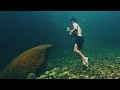 the river freediving vancouver island