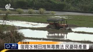 豐濱3部落擬復育水梯田 民憂產量降 2014-02-19