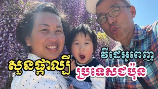 សួនផ្កាល្បីនៅប្រទេសជប៉ុន វីដេអូពេញ | Visit famous flower park in Japan Full Video