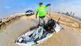 HARVEST 5 KING TANIGUE LESS THAN 2 HOURS OF TROLLING || DUBAI KAYAK FISHING || MAMZAR