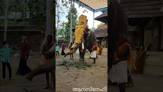 ആറാട്ട് |ബോലോനാഥ്‌ |Thirunayathode siva narayana temple | #arattu #temple #thottuchalilbolonadhu