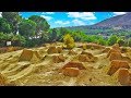 BMX RIDING AT DIRT JUMP PARADISE!! BMX RIDING AT DIRT JUMP PARADISE!!