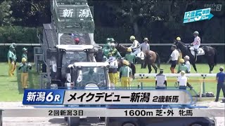 【2歳新馬/ニシノコマチムスメ】メイクデビュー新潟［2023.8.5 新潟第6R/1600m 芝］