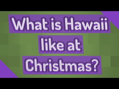 What does Christmas in Hawaii look like?