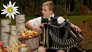 Deutschmeister Regimentsmarsch | Benjamin Pinter-Krainer (Steirischer Harmonikawettbewerb 2016)