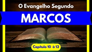 Bíblia em áudio - Marcos Capítulo 10 à 12