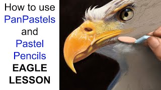 How to use - Panpastel / Pastel Pencil Lesson - Eagle - Jason Morgan Art