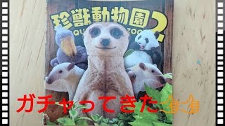 【ガチャ】珍獣動物園２を回してきた！