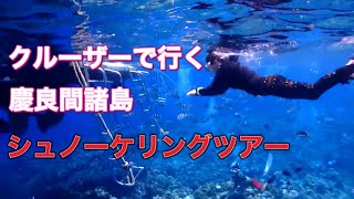 ボートで行くシュノーケリング・ケラマ諸島国立公園・ディーズパルス沖縄