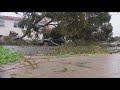 Storms uproot dozens of trees across San Diego County