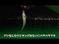 【パタヤイカダ釣り】タイシリーズ 5 筏でイカを狙ってきた