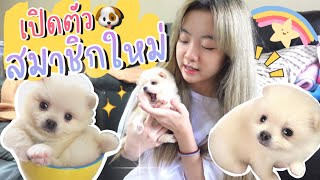 {Eng Sub} ต้อนรับสมาชิกใหม่🐶 น่ารักมากกก!! ลูกหมาหรือลูกหมี🧸💘